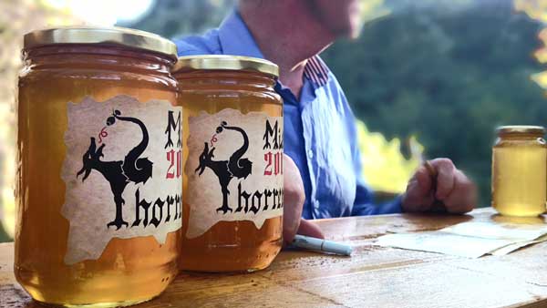 Thorrenc Honey