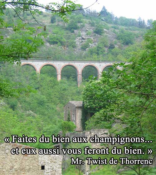 Thorrenc Viaduct