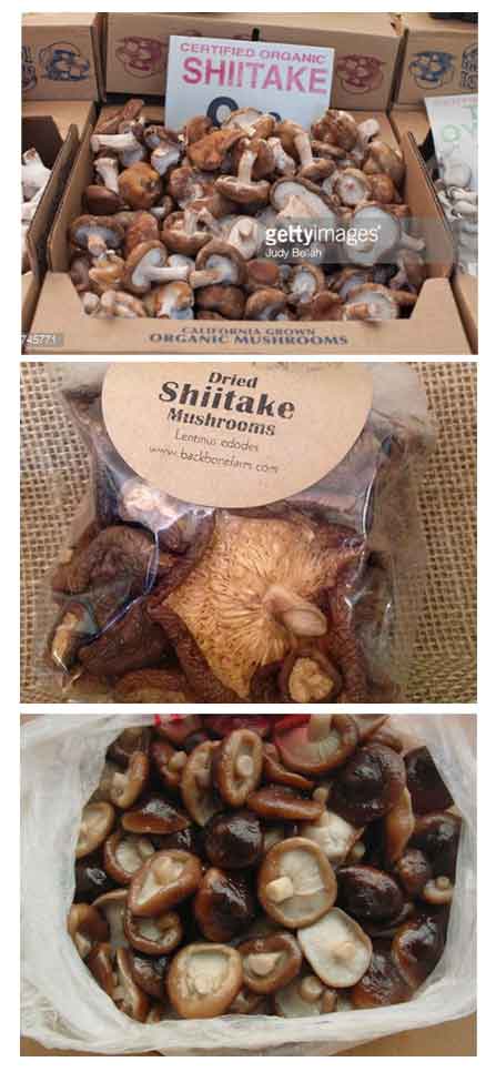 Shiitake Mushrooms for sale